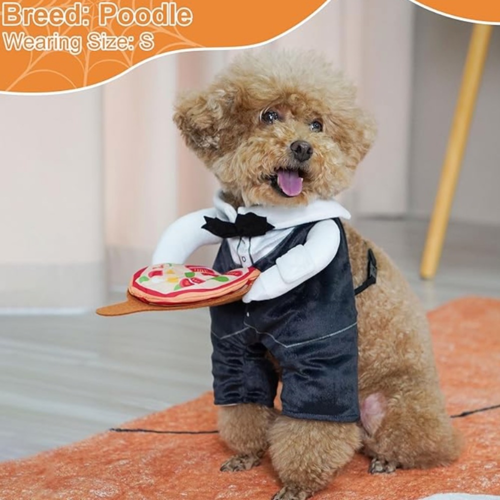 NWT small waiter dog costume - hilarious and cute